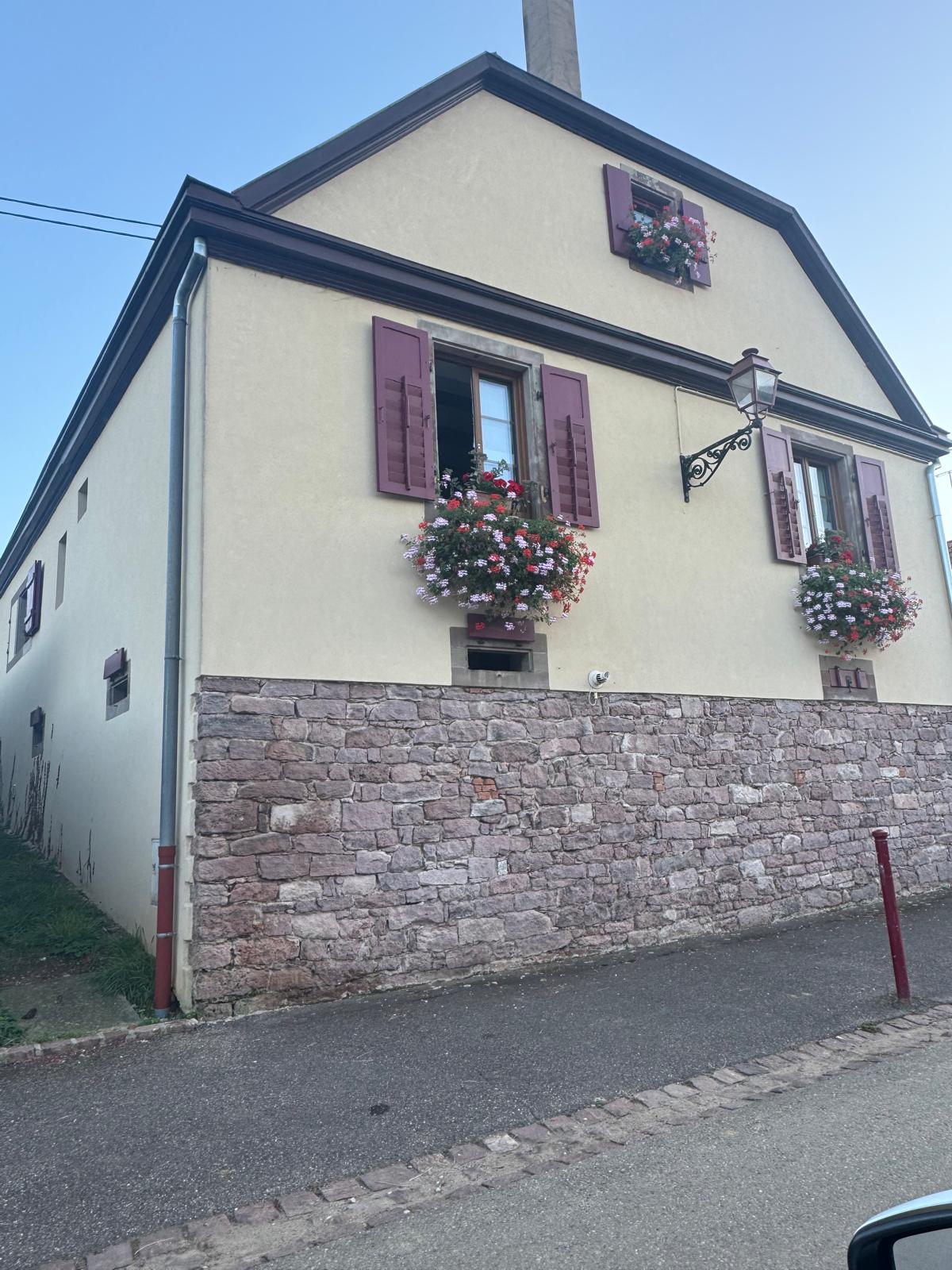 Galerie supplément 21/10/2025